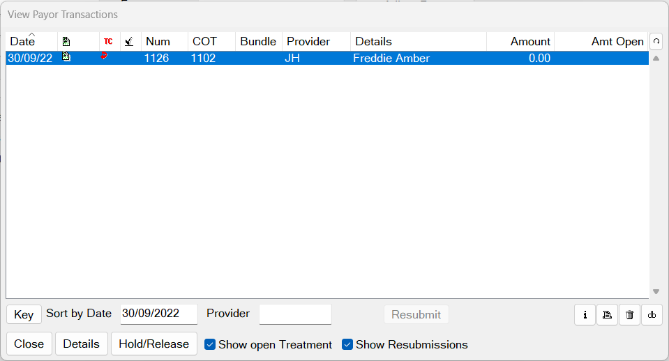 payor transaction window.png