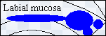 mceclip7.png
